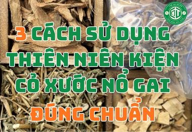 3 Cách Sử Dụng Thiên Niên Kiện Cỏ Xước Nổ Gai Khô Đúng Chuẩn