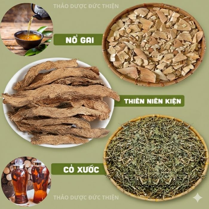 thiên niên kiện cỏ xước nổ gai