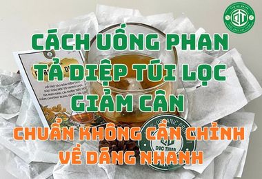 Cách Uống Phan Tả Diệp Túi Lọc Giảm Cân Chuẩn Về Dáng Nhanh