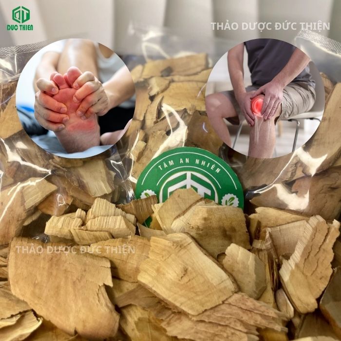 cây cơm nguội trị bệnh gì