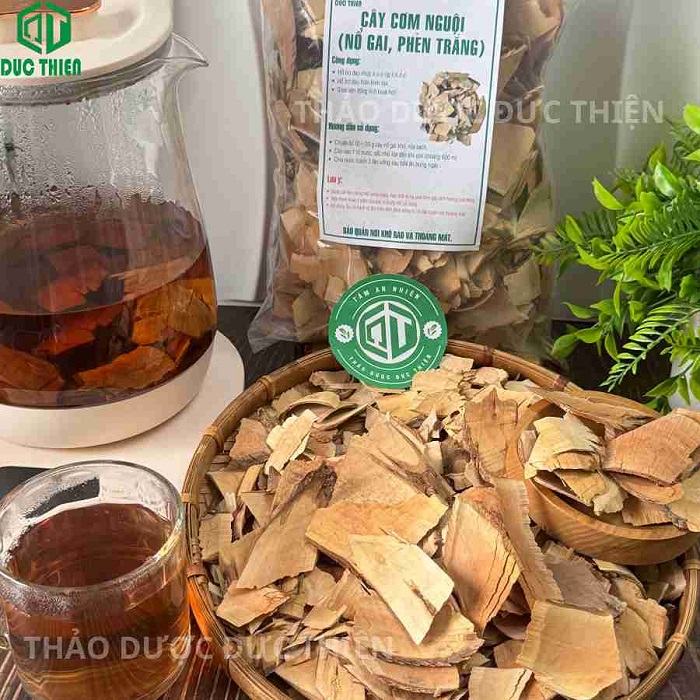 cây cơm nguội trị bệnh gì