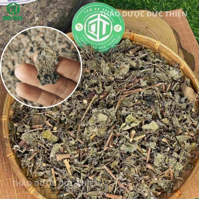 Chè dây Cao Bằng có tác dụng gì