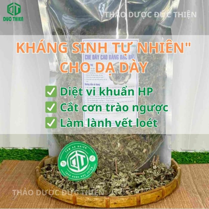 Chè dây Cao Bằng có tác dụng gì