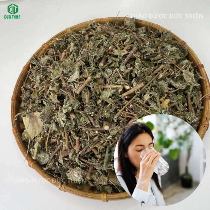 chè dây uống thay nước lọc được không