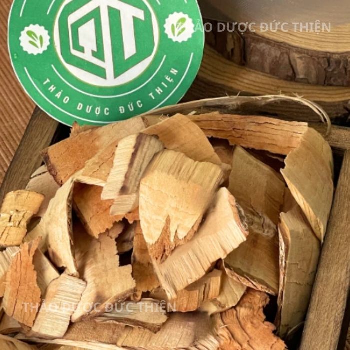 công dụng của cây nổ gai