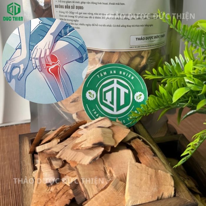 công dụng của cây nổ gai