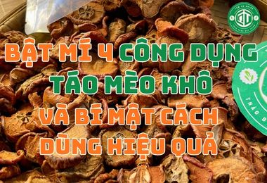 Bật Mí 4 Công Dụng Táo Mèo Khô Và Bí Mật Cách Dùng Hiệu Quả