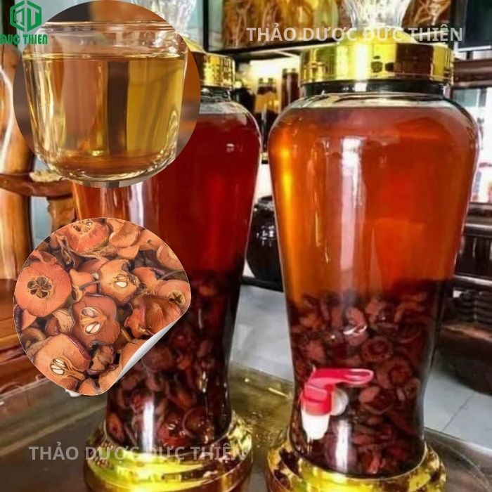 công dụng táo mèo khô