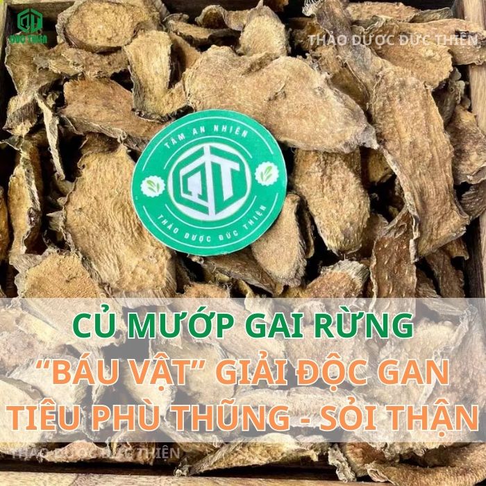 củ mướp gai trị bệnh gì
