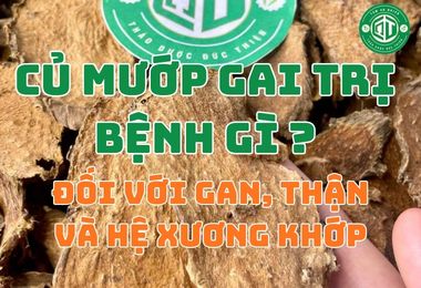 Củ Mướp Gai Trị Bệnh Gì Đối Với Gan, Thận Và Hệ Xương Khớp?
