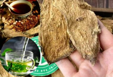 Công Dụng Củ Ráy Gai Là Gì? Đặc Điểm, Cách Dùng Và Những Điều Cần Biết