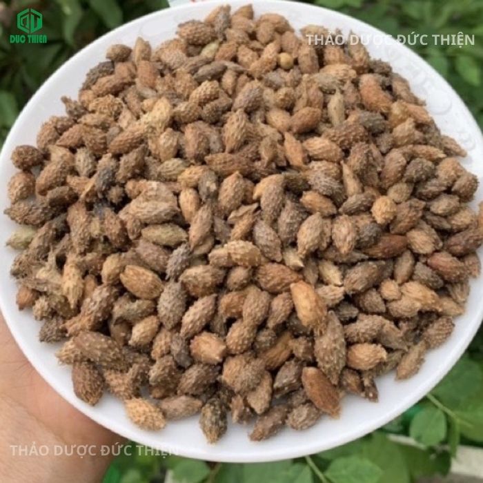 ké hoa đào và ké đầu ngựa