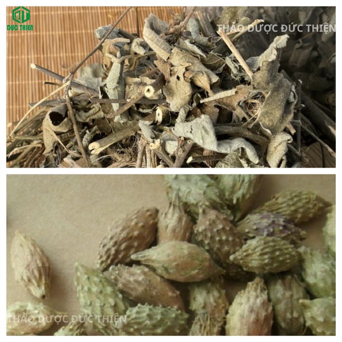 ké hoa đào và ké đầu ngựa