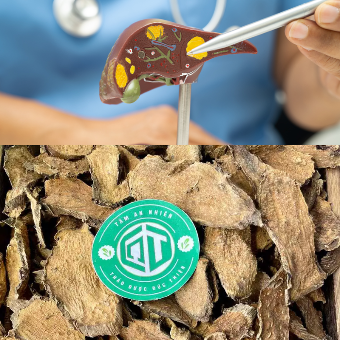 mướp gai trị bệnh gì