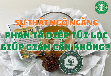 Sự Thật Ngỡ Ngàng: Phan Tả Diệp Túi Lọc Giúp Giảm Cân Không?