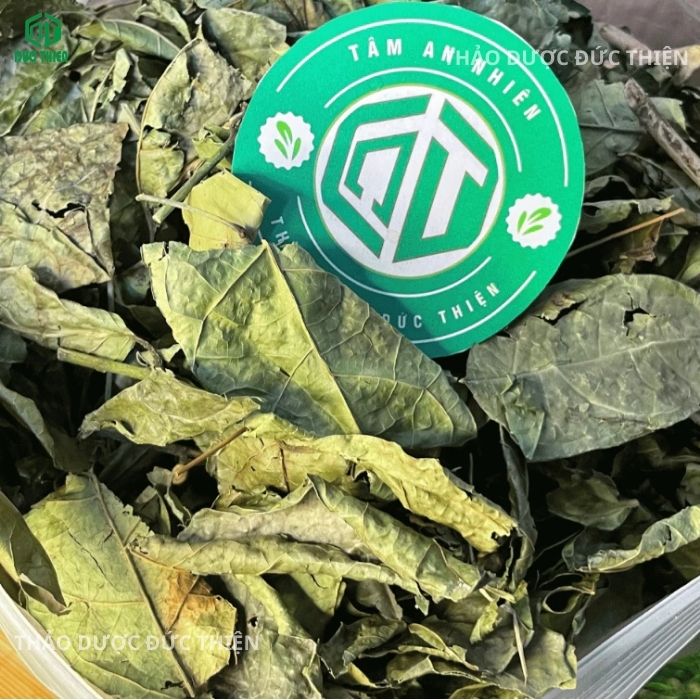tác dụng cây xạ đen Hòa Bình