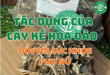 Tìm Hiểu Tác Dụng Của Cây Ké Hoa Đào Đối Với Sức Khỏe Phụ Nữ