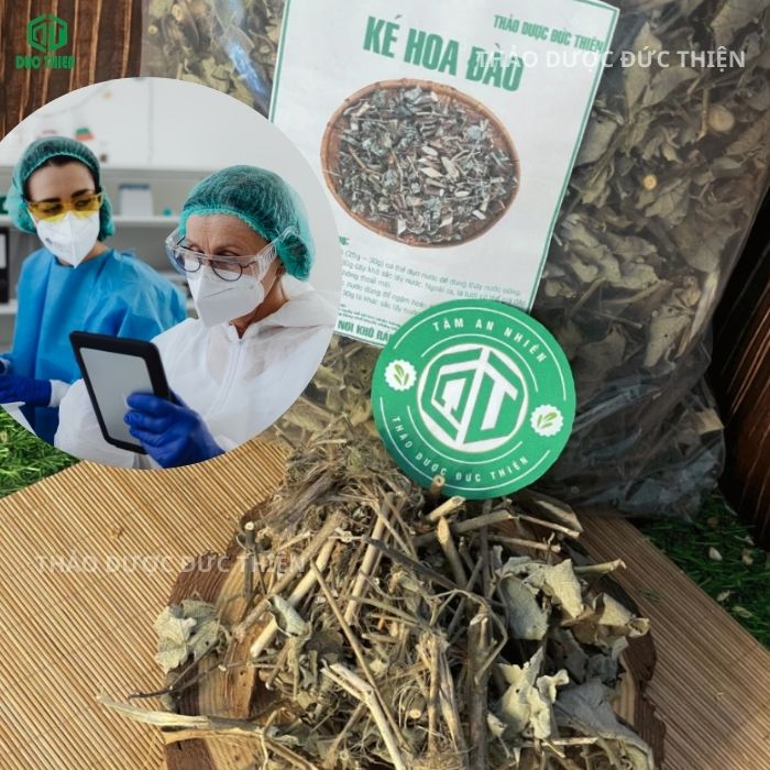 tác dụng của ké hoa đào