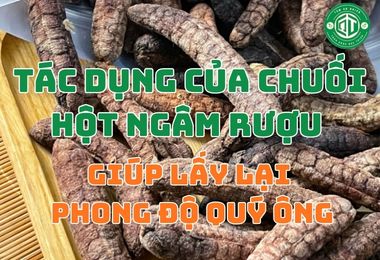 Tác Dụng Của Chuối Hột Ngâm Rượu Trong Việc Lấy Lại Phong Độ Quý Ông