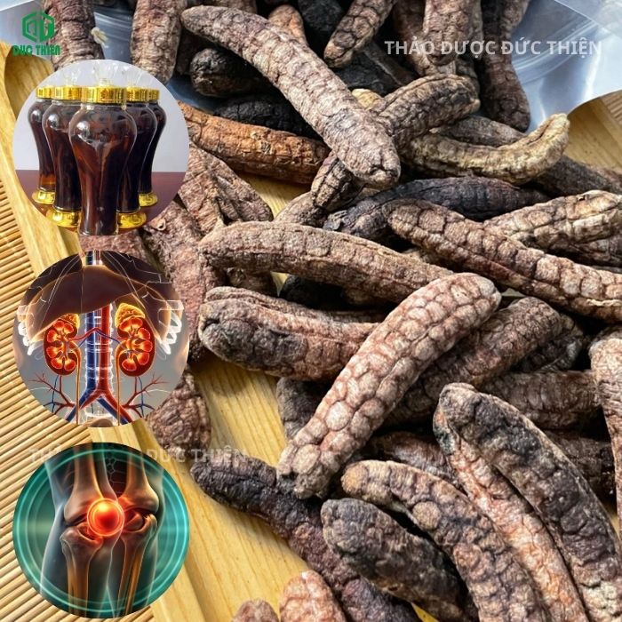 tác dụng của chuối hột ngâm rượu