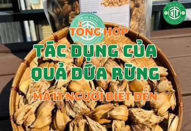 Tổng Hợp Những Tác Dụng Của Quả Dứa Rừng Mà Ít Người Biết Tới