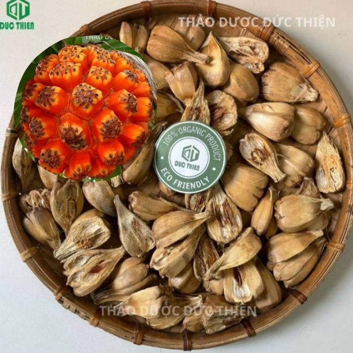tác dụng của quả dứa rừng