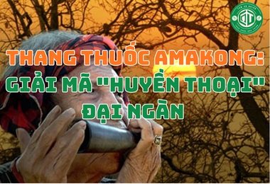 Thang Thuốc Amakong: Giải Mã “Huyền Thoại” Đại Ngàn Và Những Giá Trị Sức Khỏe Vô Giá