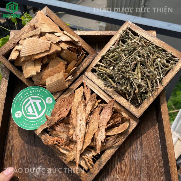 thiên niên kiện cỏ xước nổ gai