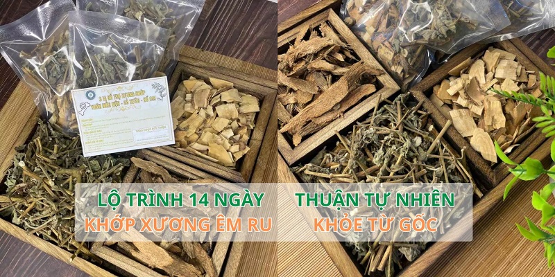thiên niên kiện cỏ xước nổ gai