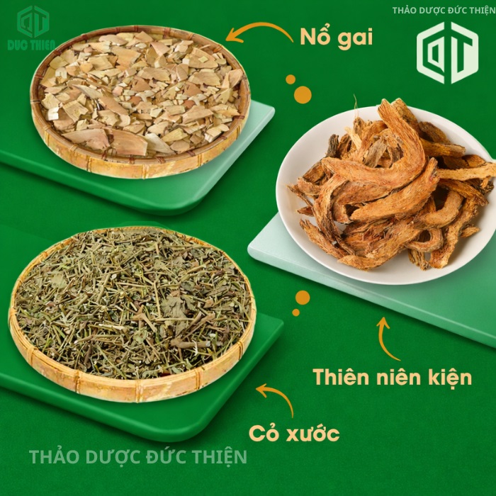 thuốc hỗ trợ xương khớp