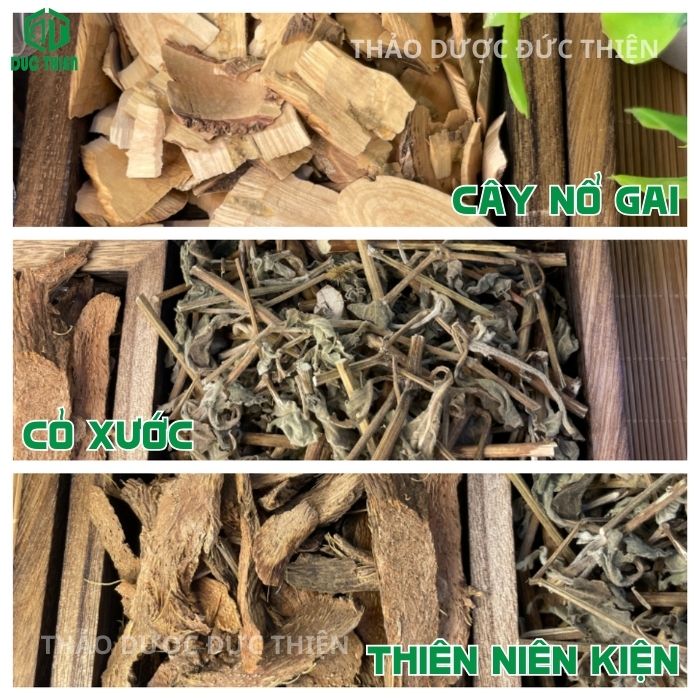 thuốc hỗ trợ xương khớp