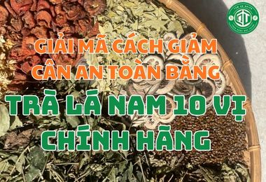Giải Mã Cách Giảm Cân An Toàn Bằng Trà Lá Nam 10 Vị Chính Hãng