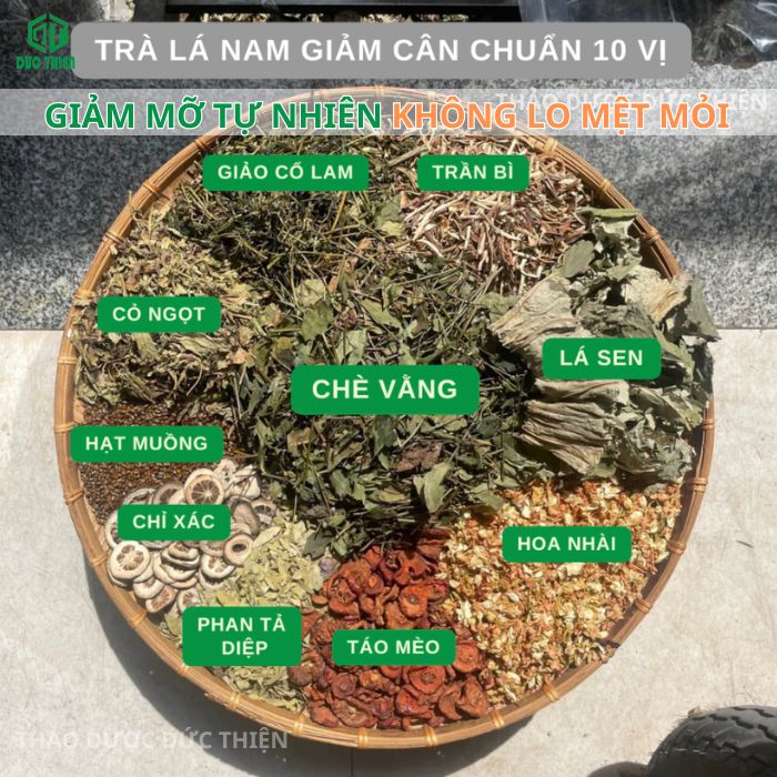 trà lá nam 10 vị chính hãng