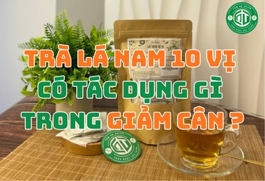 Trà Lá Nam 10 Vị Có Tác Dụng Gì Mà Nhiều Người Dùng Giảm Cân?