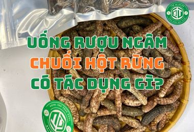 Uống Rượu Ngâm Chuối Hột Có Tác Dụng Gì Đối Với Sức Khỏe?
