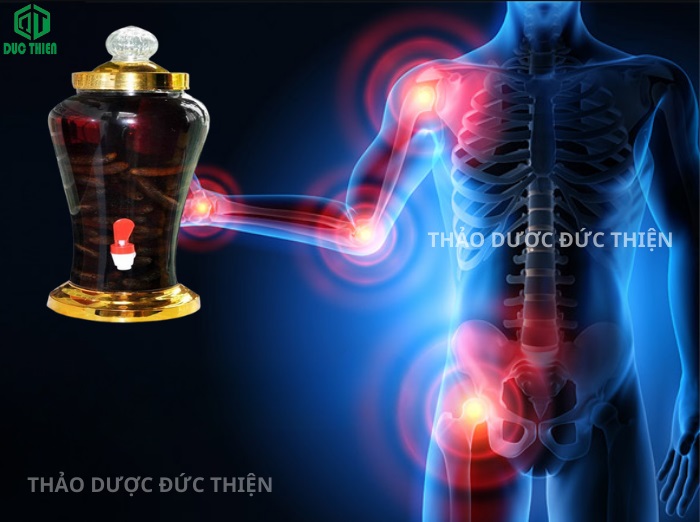 uống rượu chuối hột có tác dụng gì