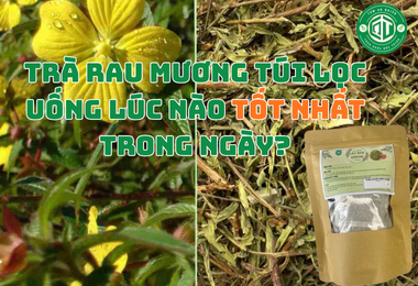 Trà Rau Mương Túi Lọc Uống Lúc Nào Tốt Nhất Trong Ngày?