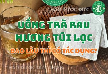 Uống Trà Rau Mương Túi Lọc Bao Lâu Thì Có Tác Dụng?