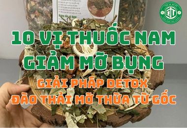 10 Vị Thuốc Nam Giảm Mỡ Bụng: Giải Pháp Detox Và Đào Thải Mỡ Thừa Từ Gốc