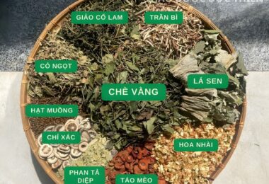 Lá Nam Giảm Cân 10 Vị Gồm Những Gì? Hiệu Quả Và Lưu Ý Khi Dùng
