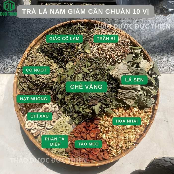 10 vị thuốc nam giảm mỡ bụng