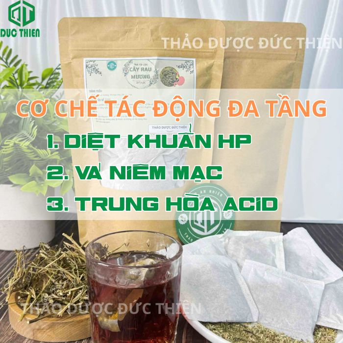 cách sử dụng trà rau mương túi lọc chữa dạ dày