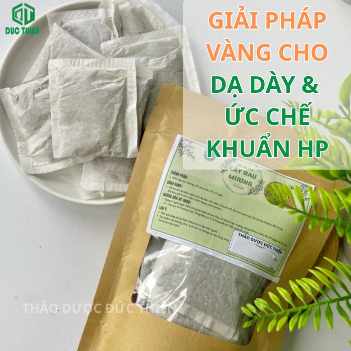 cách sử dụng trà rau mương túi lọc chữa dạ dày