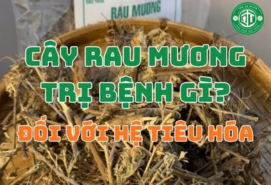Tìm Hiểu Từ A-Z: Cây Rau Mương Trị Bệnh Gì Đối Với Hệ Tiêu Hóa?