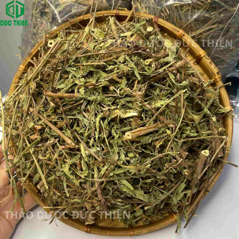 cây rau mương trị bệnh gì