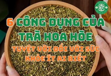 6 Công Dụng Của Trà Hoa Hòe Tuyệt Vời Đối Với Sức Khỏe Ít Ai Biết