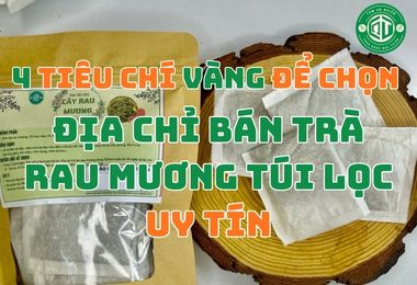 4 Tiêu Chí Vàng Để Chọn Địa Chỉ Bán Trà Rau Mương Túi Lọc Uy Tín