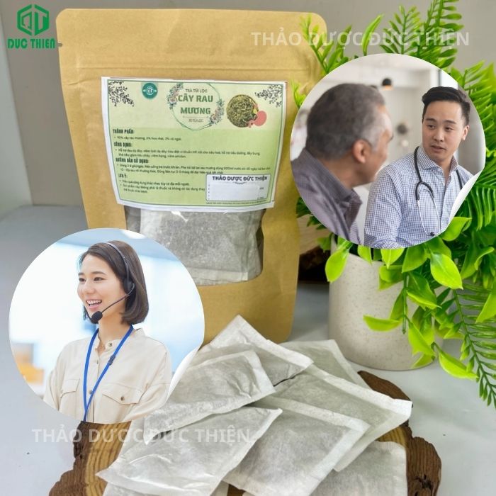 địa chỉ bán trà rau mương túi lọc