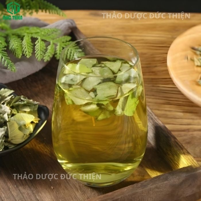 kim tiền thảo trị bệnh gì