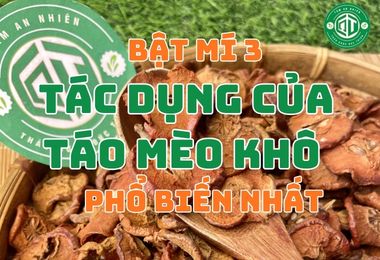 Bật Mí 3 Tác Dụng Của Táo Mèo Khô Phổ Biến Nhất